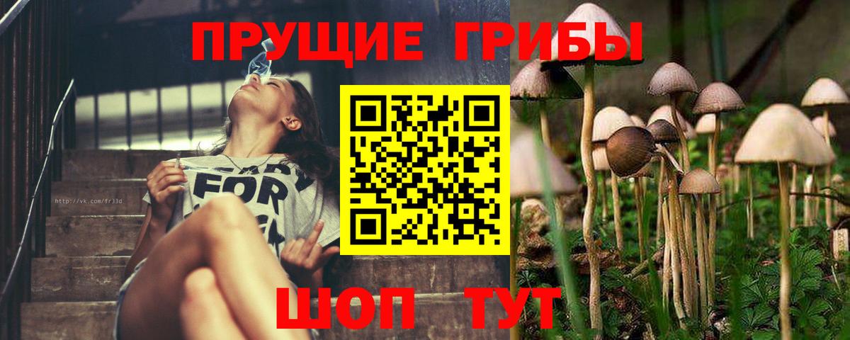 Псилоцибиновые грибы Psilocybe  как найти закладки  Ростов Великий  Вход с VPN 